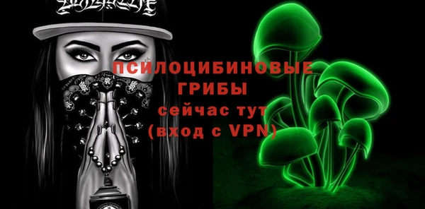 эйфоретик Горняк