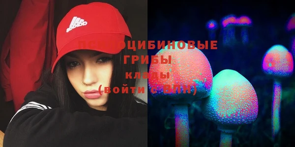 эйфоретик Горняк