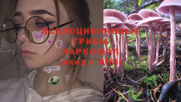 эйфоретик Горняк