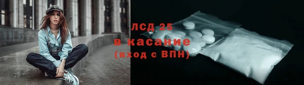 эйфоретик Горняк