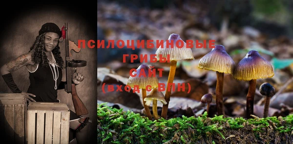 эйфоретик Горняк