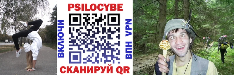 Купить где  Кропоткин  Псилоцибиновые грибы ЛСД 